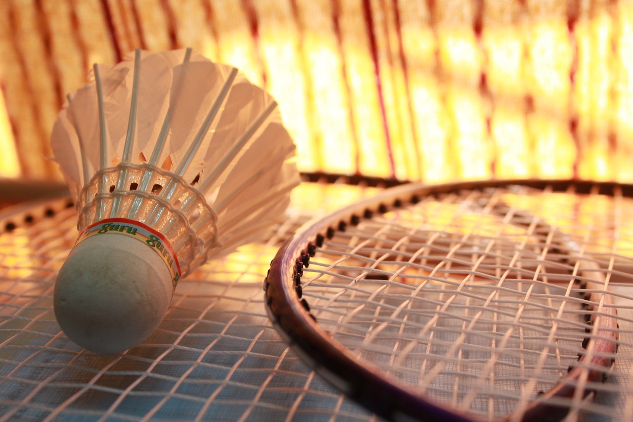 badminton, shuttlecock, sports-166405.jpg