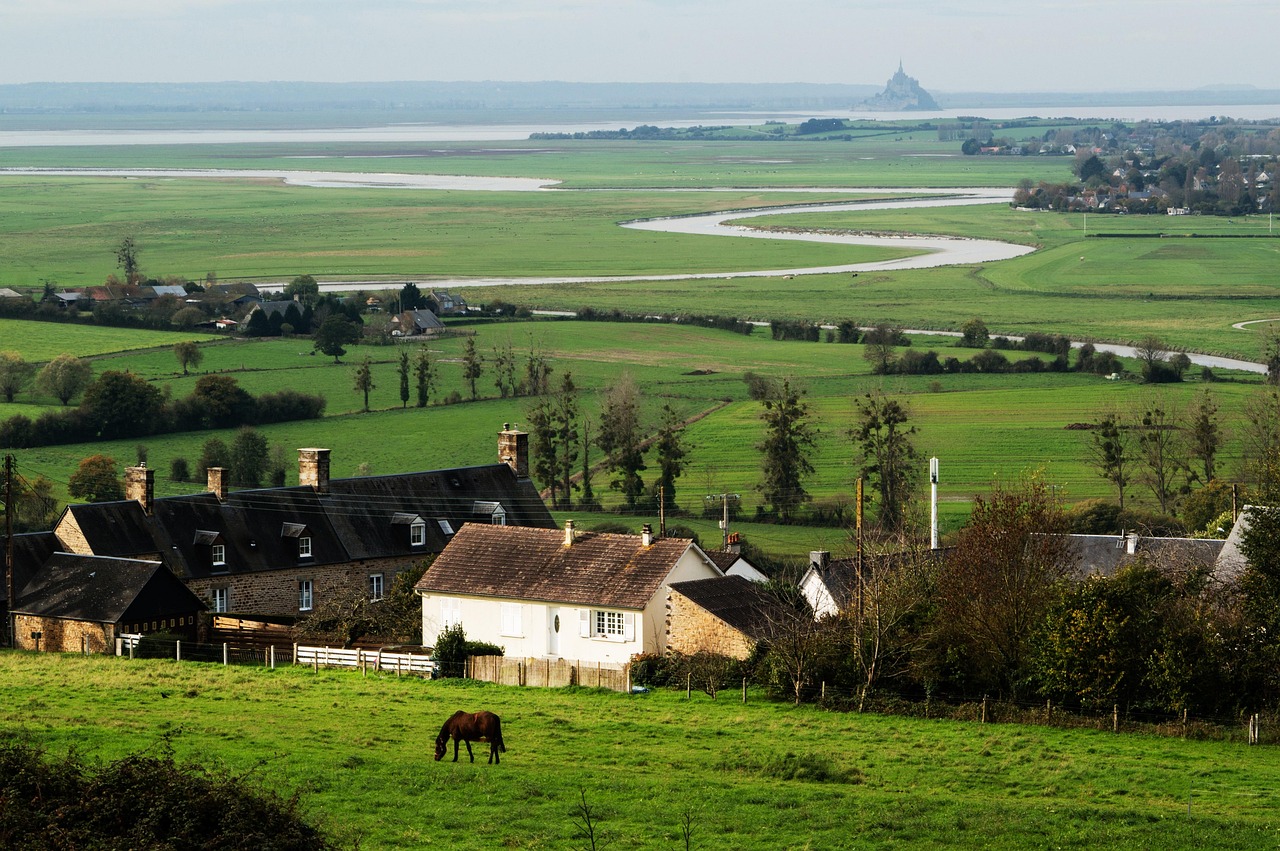 village, farms, horse, fields, mont saint michel, france, nature, landscape, village, village, village, village, village