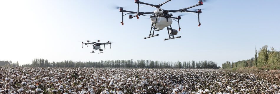 agriculture, drone, dji agriculture, dji, farming, farmland, plant protection drone, plant protection, extremely fly, cotton, cotton fields, drone, drone, drone, drone, drone, cotton